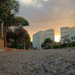 و تستمر القافلة ~