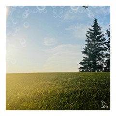 flareinthesky! - Feather