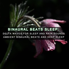 Binaural Beats for Brainwave Entrainment