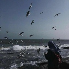 ياما وقعنا في الطريق ونقُوم!