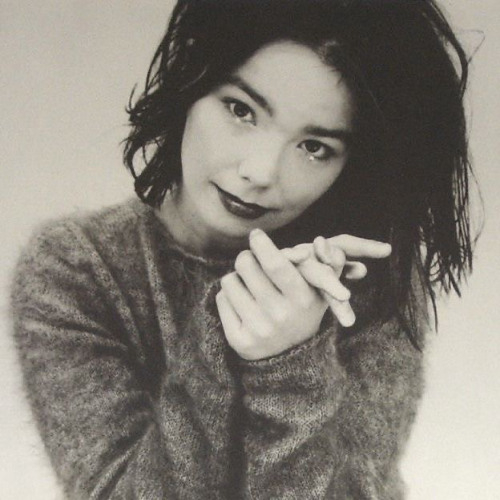 Bjork Bounce
