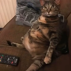 КУОК - СТАЛЬ remix