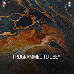 Simulation Theory - Programmed To Obey (Original Mix)