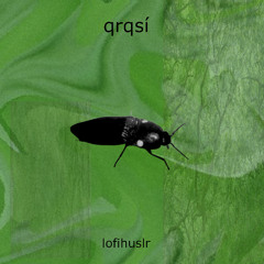 qruqsi normal