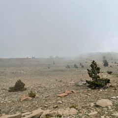 Heavy Mountain Wind, Summit Of Kazdağları, 1770m