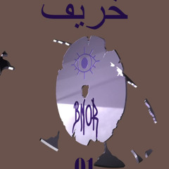 Bnor - Kharif 01