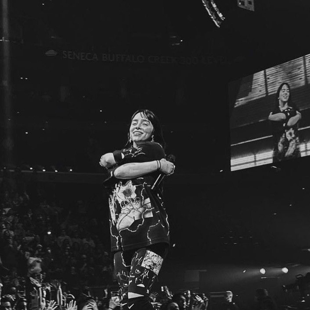 Stream Billie Eilish - WILDFLOWER (Instrumental) by JustTiana Listen