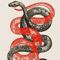1/2/2025 Cunning Snake