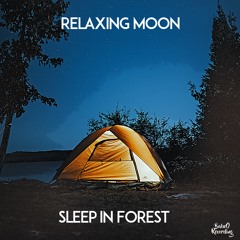 Sleep in forest