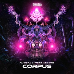 Pandora & Hybrid Machines - Corpus (Original Mix)