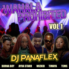 Wahala Prohibited Vol 1 - Afrobeats Mix - Burna Boy, Wizkid, Timaya, Tems, Ayra Starr
