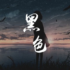 二胖u - 黑色「曾经你不厌其烦的宠着我，也答应做我余生的保护者」【動態歌詞/Lyrics Video】
