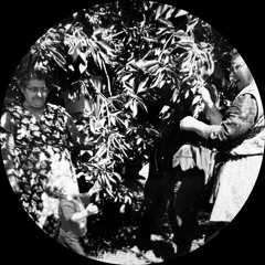 Akero - ricca_villana