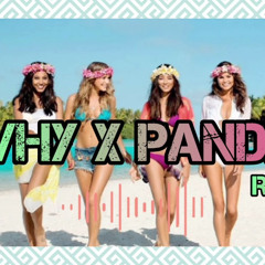 WHY X PANDA 2025