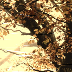 i rot like the leaf of an autumn tree