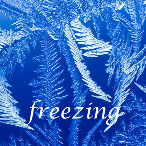 Freezing cover