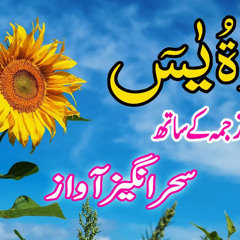 Surah Yaseen With Urdu Translation  | Surah Yasin By 786 cuisine