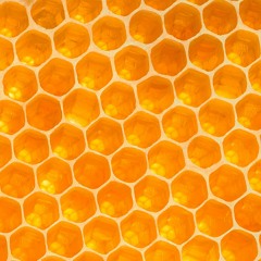Honeycomb Eyes