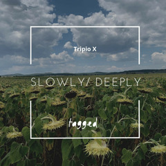 Tripio X - Deeply (Original Mix)
