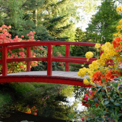 Shakira - Waka Waka This Time for Africa- piano