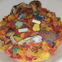 wooooooob Prod. cockback beanie x Baybee