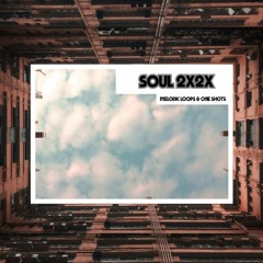 Sample Fox - Soul 2X2X