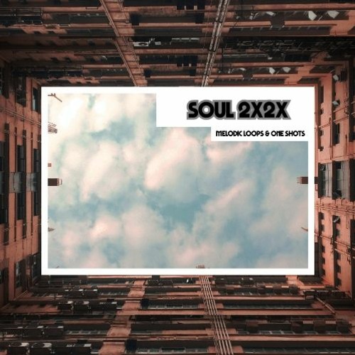 Sample Fox - Soul 2X2X