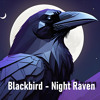 Скачать видео: Night Raven