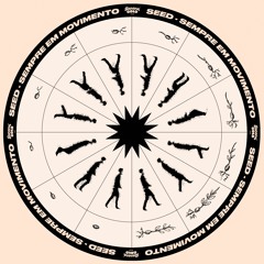 Seed Selector - Caia Na Real