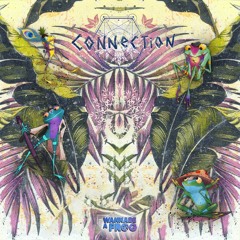 Connection Feat. The Frog Collective EP