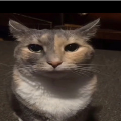 omg!!! her head is so UNDERTALE PIRATESHIP ROMHACK PIRATE YARR HARR HARR ME TREASURE🏴‍☠️🏴‍☠️🏴‍☠️🏴‍☠️🏴‍☠️🏴‍☠️🏴‍☠️🏴‍☠️🏴‍☠️🏴‍☠️🏴‍☠️🏴‍☠️🏴‍☠️🏴‍☠️🏴‍☠️
