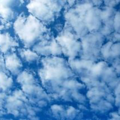 Wonder Diplo Zerb Pawsa including Global Grooves