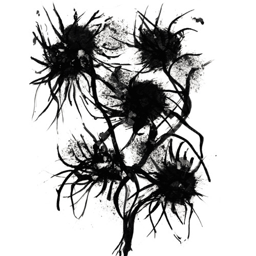 Valse de l'aiguille creuse