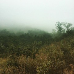 Dreamland - Fertifina