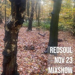 RedSoul DJ Mix - Nov 2023