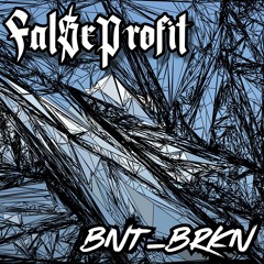 FAL$E PROFIT - BNT_BRKN