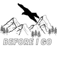 Beast Boy - Before I Go (Freestyle)