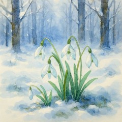 Cold Hands on the Last Day of February — A Theme of Rebirth After Winter