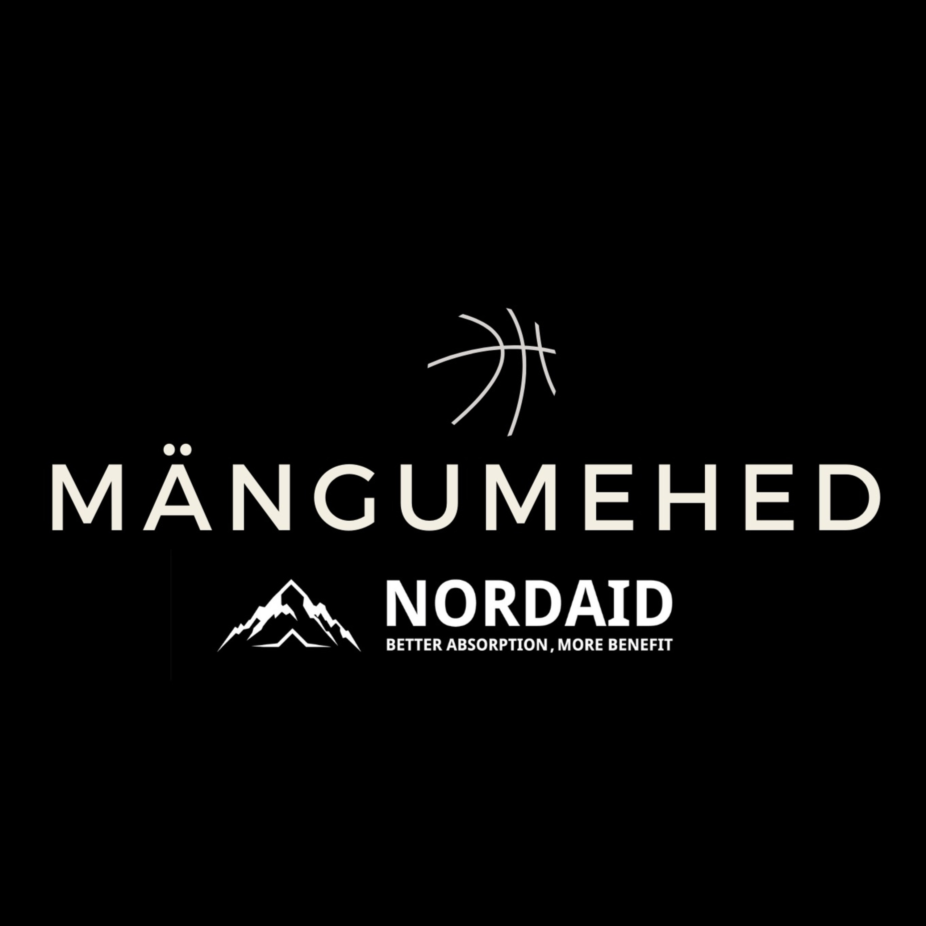 Mängumehed