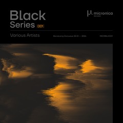 VA - Black Series 001 [MICRBLK001]