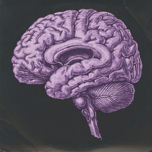 AD - BRAINWASH (LAMBDA DUBZ VIP v1) [3K FREE DL]