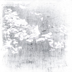Max von der Goltz - Klmpr