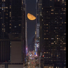 Summer In NY Shelter Version