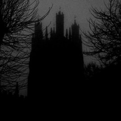 The Perfect Girl (Cover)  (Prod.ADHD)