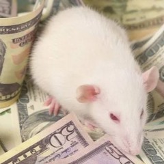 Mouse Money