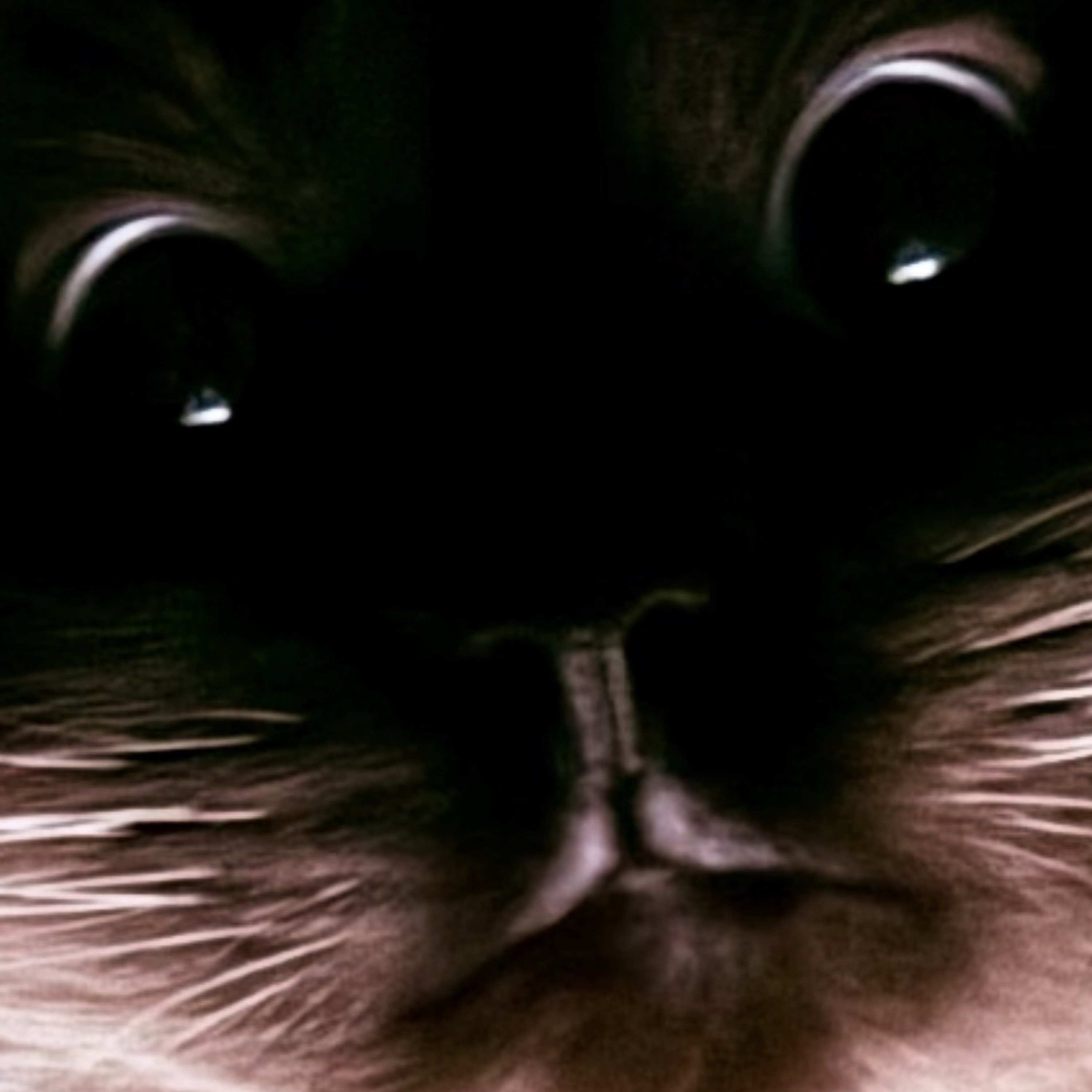 lies to your daughter