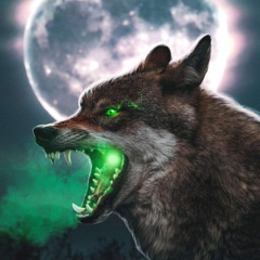 Frequency - Mc finchy and Mc Roach