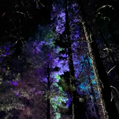 Electric Jungle Pt 2