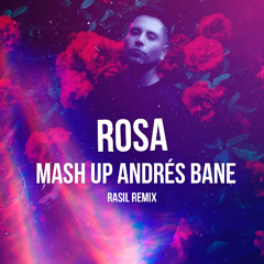 ROSA QUE LINDA ERES RÁSIL MASHUP ANDRÉS BANE FREE DOWNLOAD