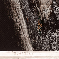 Poem for Dolores (Demo)